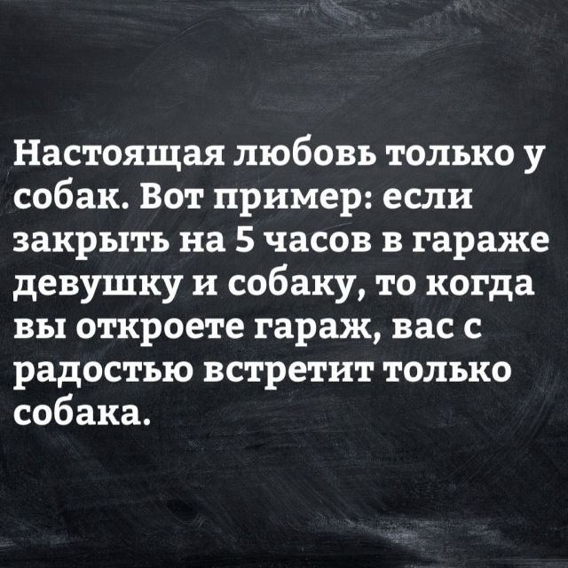 Пикчеслив из ваших интернетов 22.10.2020