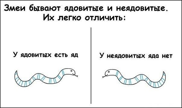 Шиза понедельничья