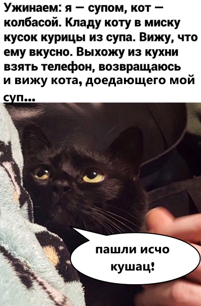 Немного картинок для настроения 12.11.20