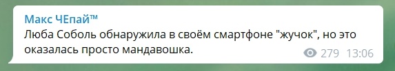 В телефоне главы штаба Любови Соболь обнаружили жучок