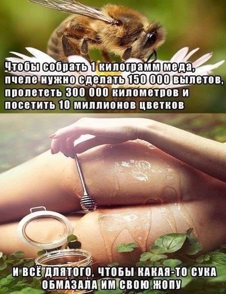 Всякие картинки