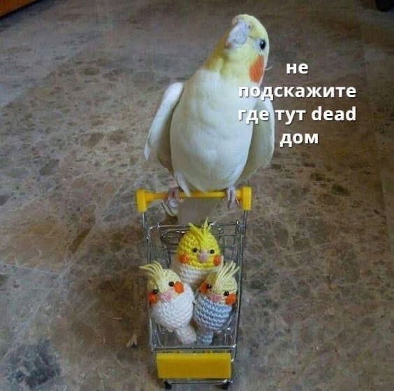 Пятничные маразмы дышат в спину