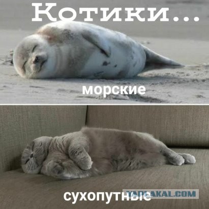 Картинки на вчера