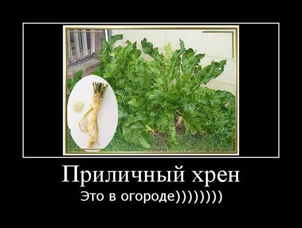 Не путайтесь, ребята