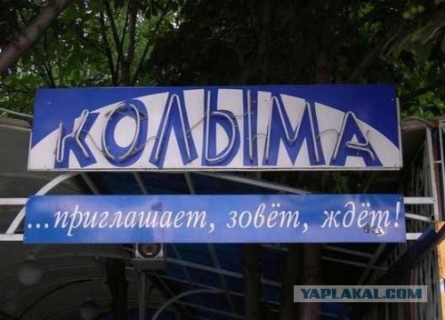 В Волгограде темнокожего диджея ударили колбой от кальяна за отказ поставить песню