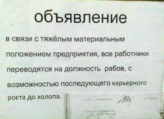 Картинки и мемы для настроения 11.11.2021