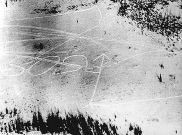 В 1963-м американка 49 дней выживала в глуши почти без еды и спецсредств