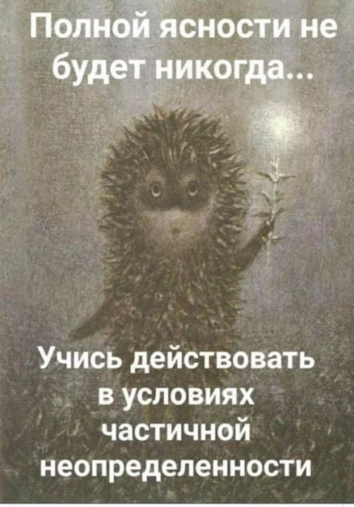 Всяческие картинки 24.11.2021