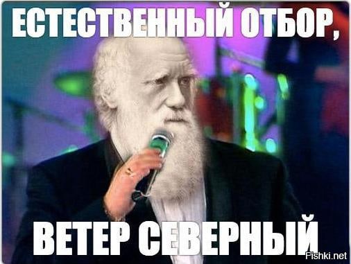 Потанцуем