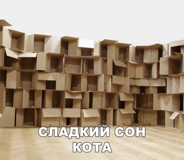 Картинки и мемы для настроения 02.02.2022