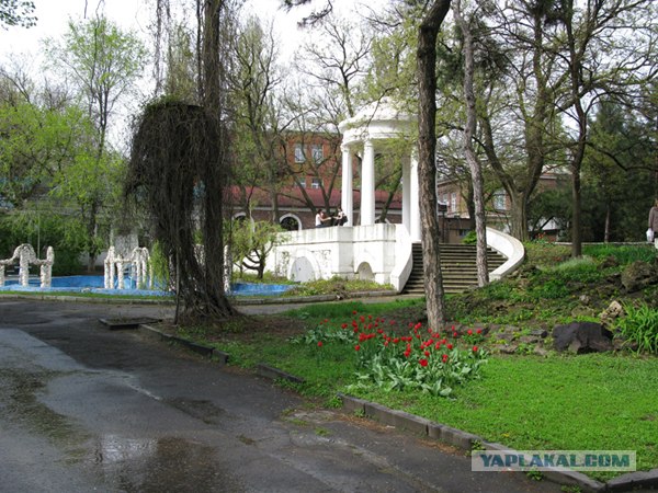 Город Ростов на Дону