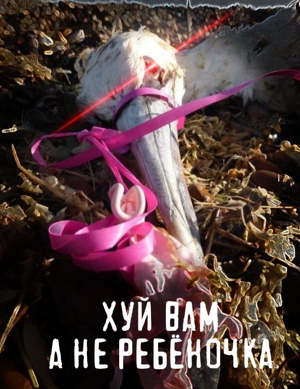 Жестокость животного мира