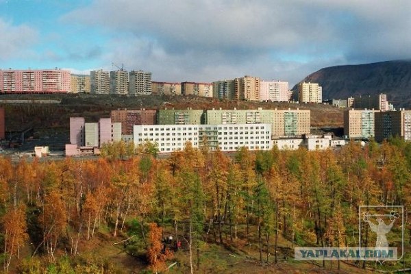 За Полярным кругом. Норильск. Тундра.