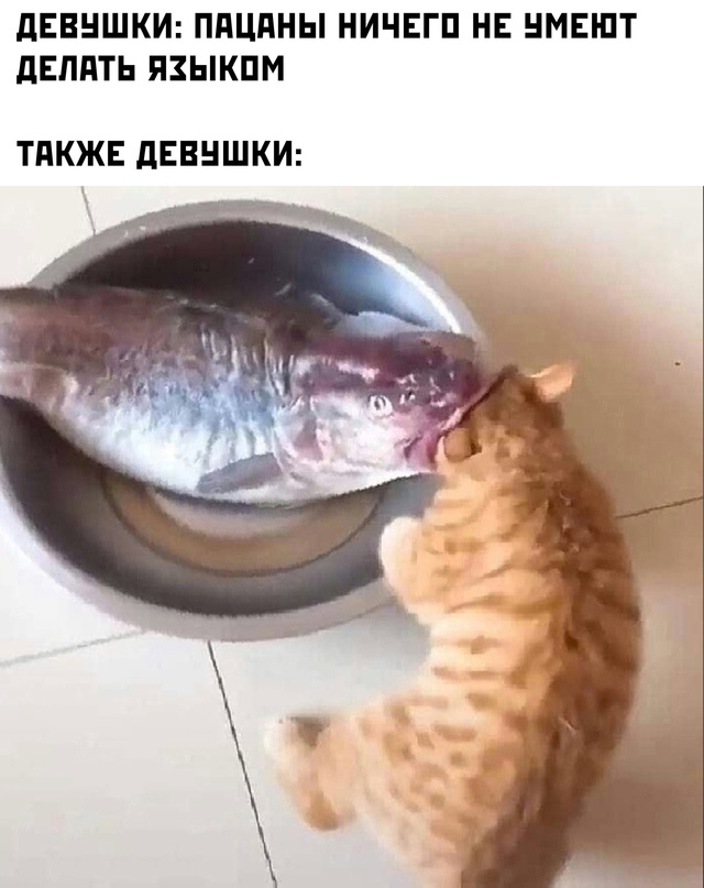 Картинки и мемы для настроения - 119