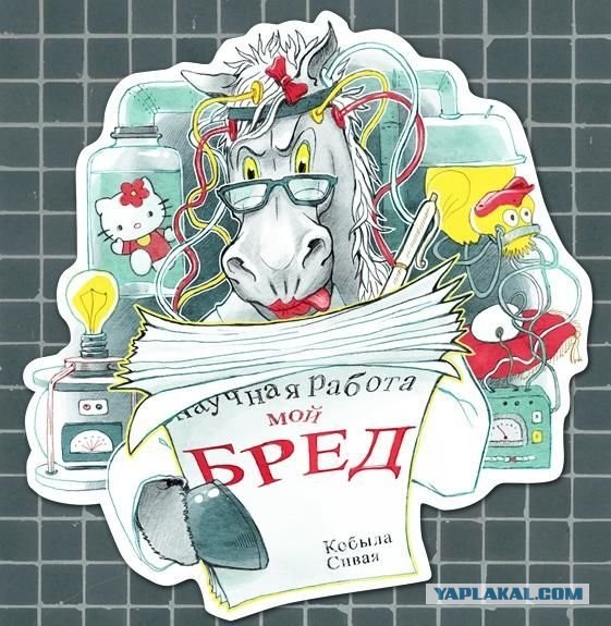 Путин поручил Шойгу ввести режим прекращения огня с 12:00 6 января до 24:00 7 января