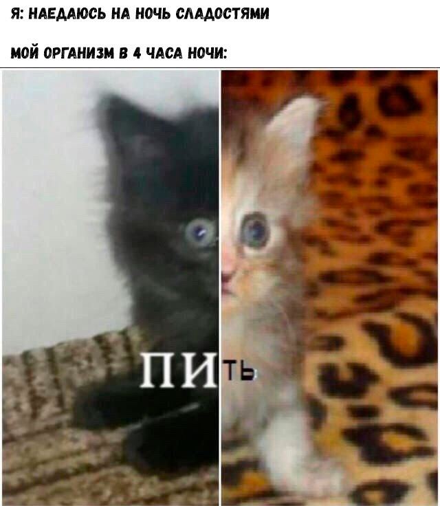 Картинки и мемы для настроения - 119