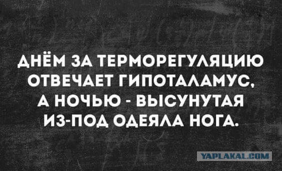 Готовим как соседи