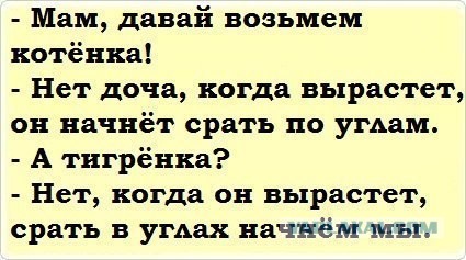 Тигрёнок
