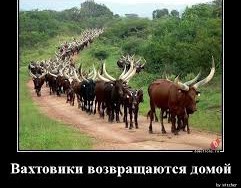 Судьба мужчин, которые постоянно работают на благо семьи