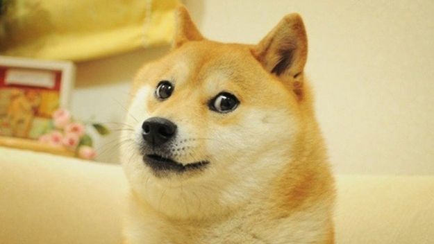 Умер пёс-герой Doge мема