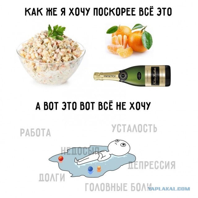 Весёлый полтишок 12.11.23