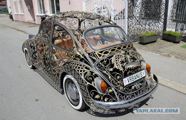 Жук и сиськи, Хоршая попытка, жук!