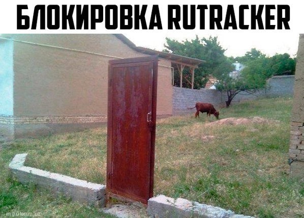 RuTraсker 20 лет⁠⁠