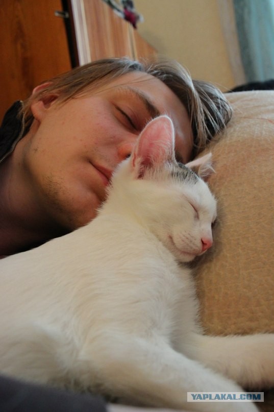 Котовторник 04.06.2013