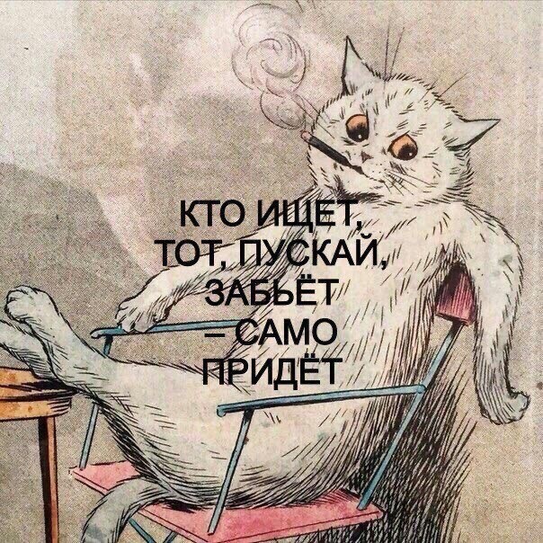 Прикольные и просто красивые картинки 06.12.2024