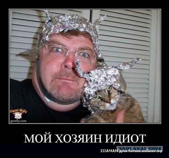 Кошачий косплей