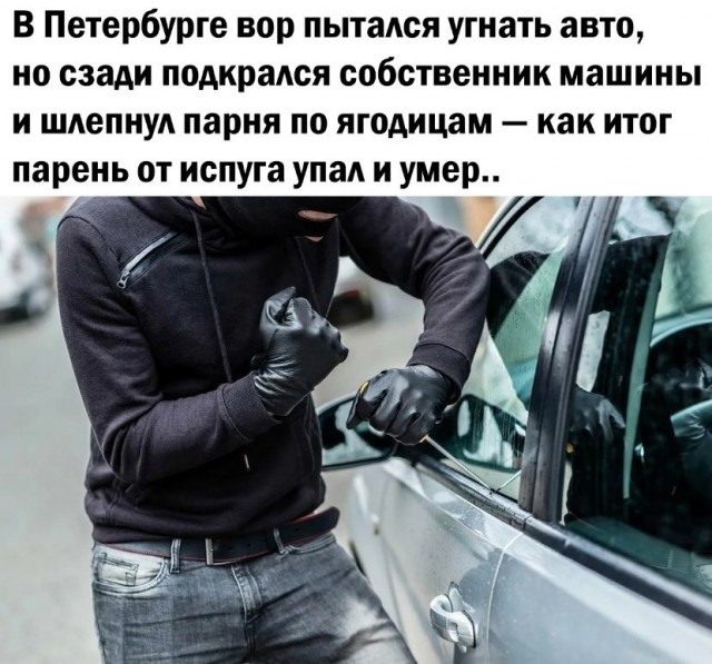 Так себе картинки 25.02.25