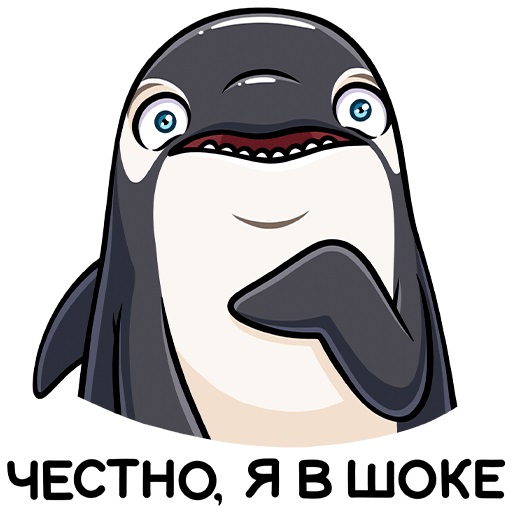 Косатки не те, за кого себя выдают: правда о дельфинах-убийцах