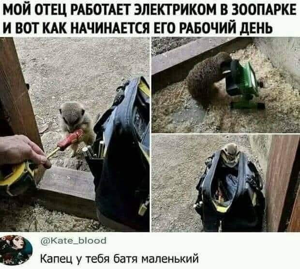 Так себе картинки 22.07.25