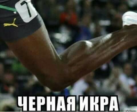 По распорядку. Дичь