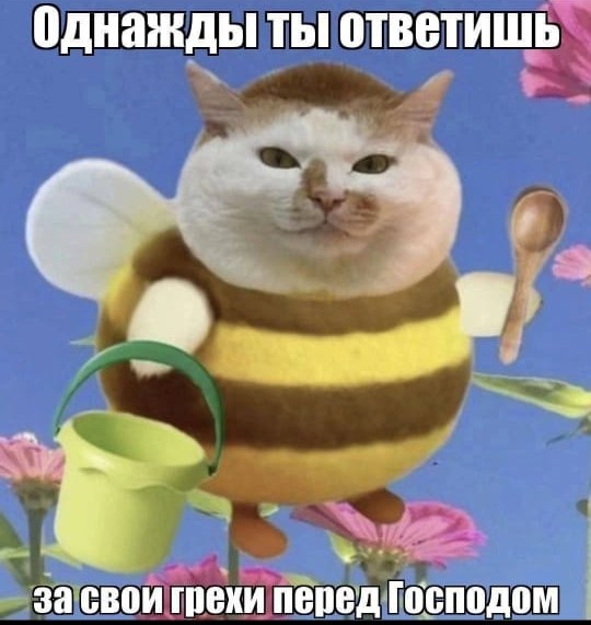 Жители Крымска спасли заживо закопанную кошку