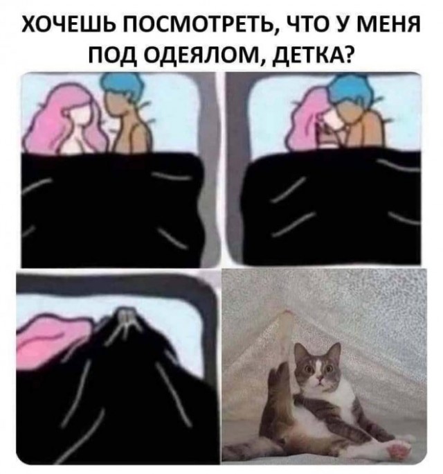 Картиночки, баянчики 14 января