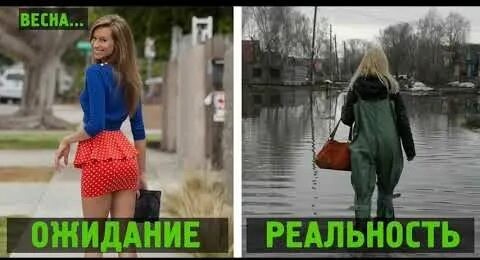 Весна ПРИШЛА!