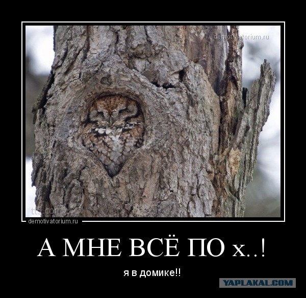 Российские бизнесмены скупают недвижимость с бункерами в Новой Зеландии на случай третьей мировой войны