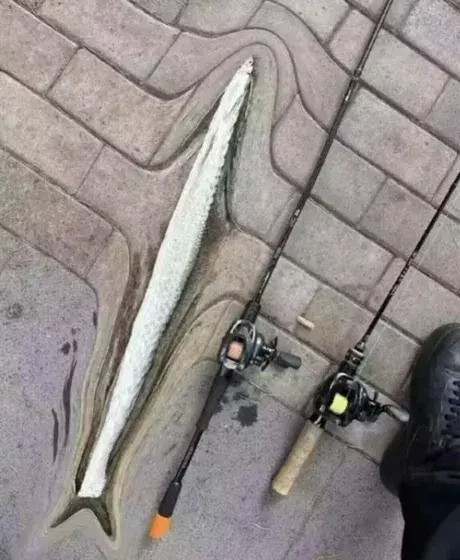 Так себе картинки 19.06.26
