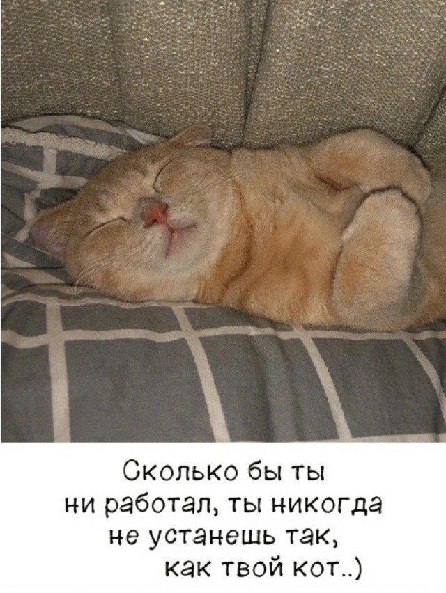 Картинки для деградации 257 (разной степени свежести)