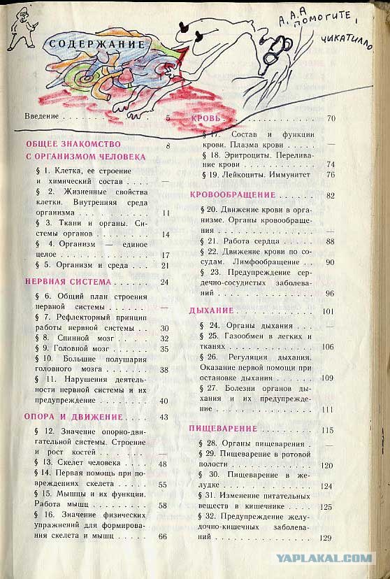 Разрисованные учебники (150 рисунков)