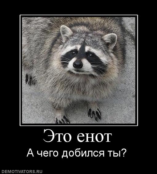 Что бывает, если поставить единицу на мейлрушечке