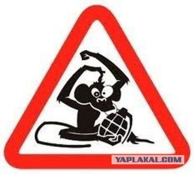 Легкое ДТП и агрессор в юбке