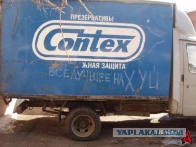 Что мы видим вокруг себя