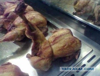 Подборка забавных и курьезных фотографий