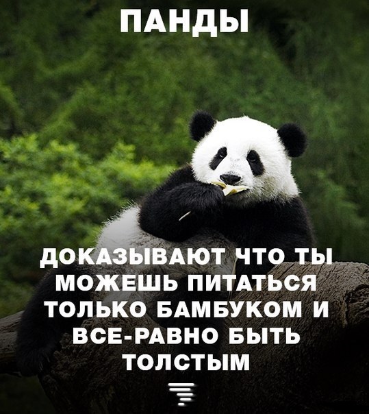 Чё, СОВСЕМ УЖЕ?
