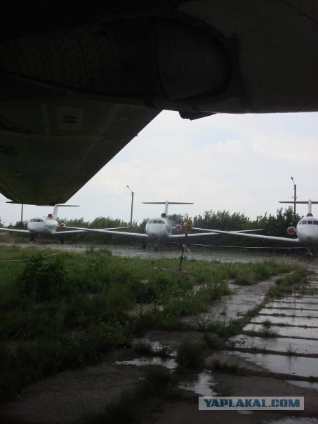 Музей авиации, г. Киев