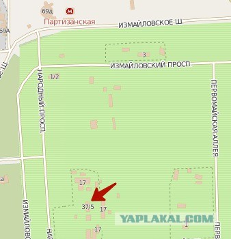 Голая девушка прокатилась на роликах по Москве