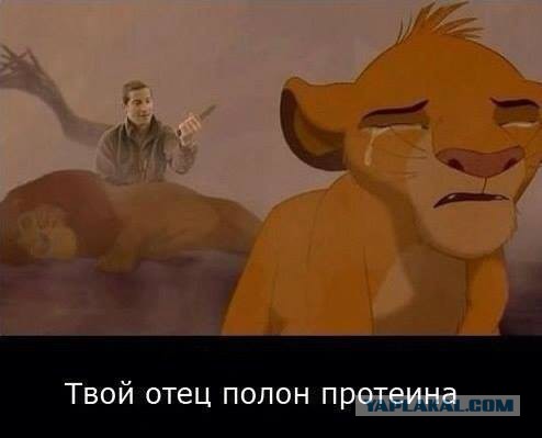 Подборка смешных картинок