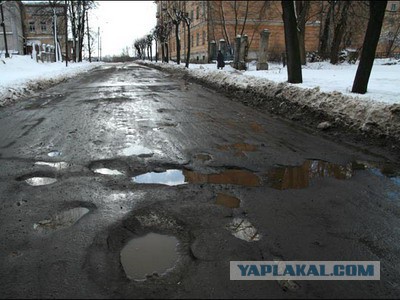 Бобры испортили дорогу Екатеринбург-Серов